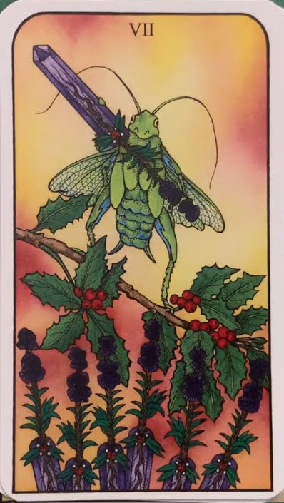 Nature Spirit Tarot